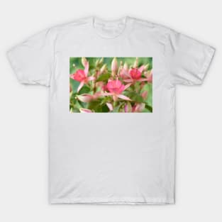 Fuchsia 'Princess Charlotte' T-Shirt